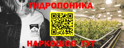 шишки Новокубанск