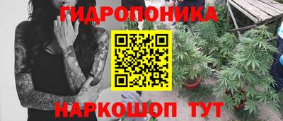 MDMA Новозыбков