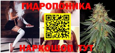 MDMA Новозыбков