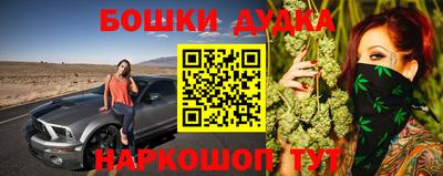 шишки Новокубанск