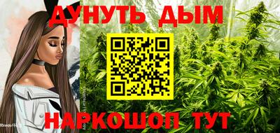 шишки Новокубанск