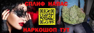 шишки Новокубанск