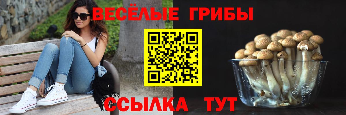 Псилоцибиновые грибы прущие грибы  Вход с VPN  купить наркоту  Чита 