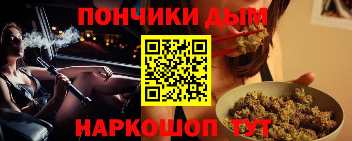 Шишки марихуана семена  Вход с VPN  Чита  Каннабис индика  МАРИХУАНА OG Kush 